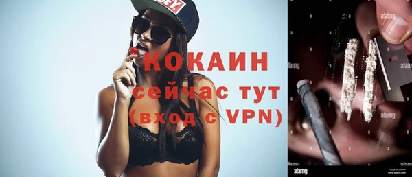 ALPHA-PVP Богородицк