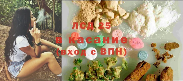 тгк Пересвет