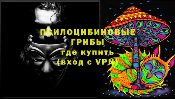 ALPHA-PVP Богородицк