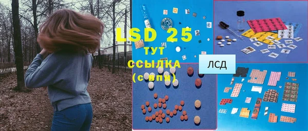PSILOCYBIN Богородск