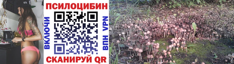 цены Белокуриха Псилоцибиновые грибы GOLDEN TEACHER